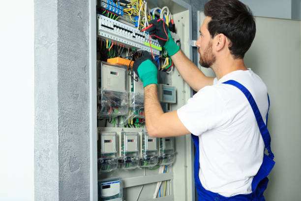 Best Local Electrician Companies  in South Waverly, PA